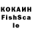 COCAIN FishScale SERVKIE