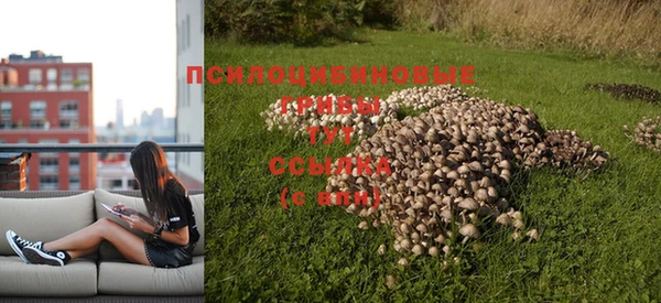 твердый Костерёво